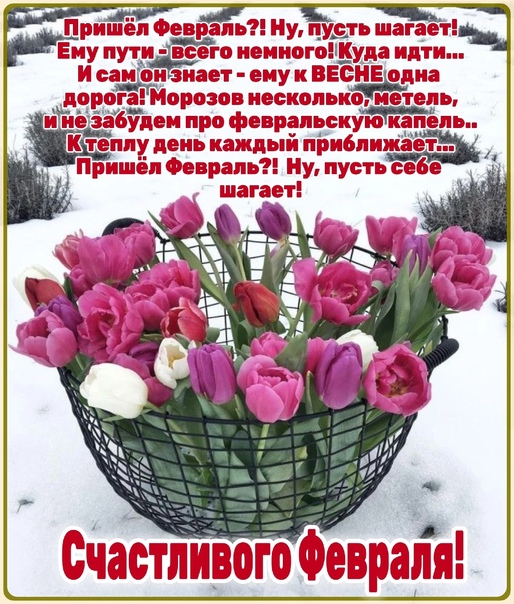Доброе утро 7 ноября гифки: найдено 71 изображений