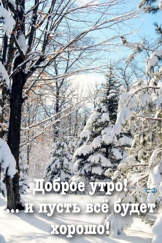 Веселая зимняя открытка с добрым утром (3)