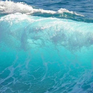 Вред морской воды для организма