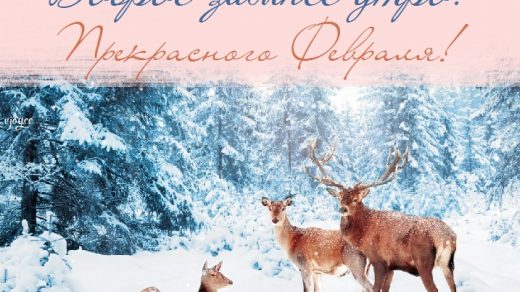 Доброго утра зимы   одевайся теплее открытки (30)