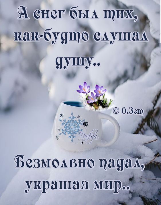 Желаю чудесного доброго утра без проблем и грусти на зиму (14)