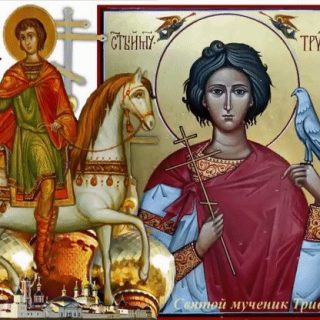 Картинки на День памяти святого мученика Трифона 14 февраля (5)