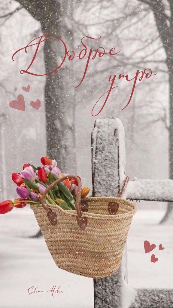 Красивые и мирные открытки на утро доброе февраля (12)