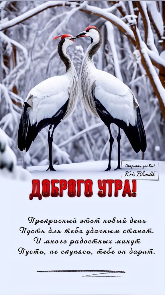 Мирные открытки на утро февраля зимы - удачи вам (6)