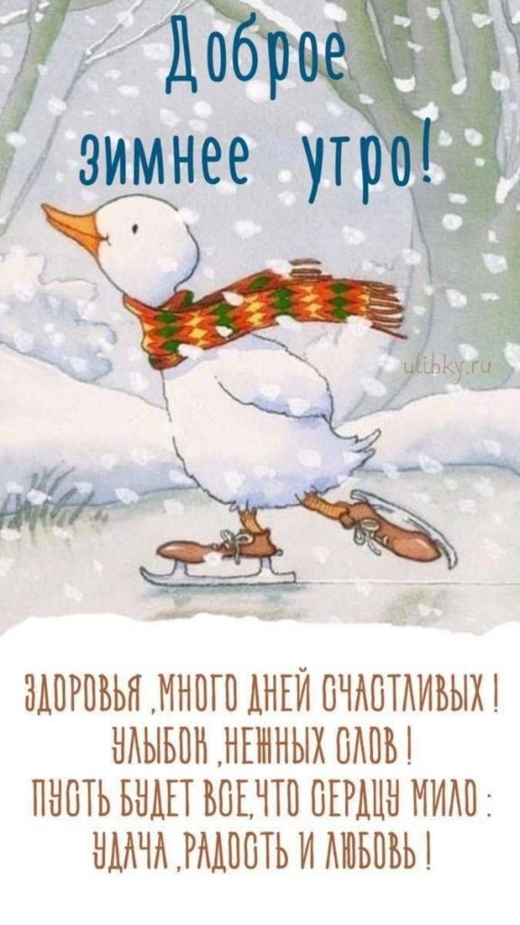 С добрым утром! Чудесной зимы февраля - открытки (19)