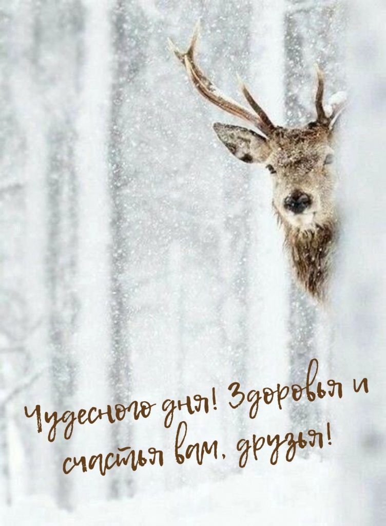 Хорошего начала и старта дня зимы - сборка открыток (31)