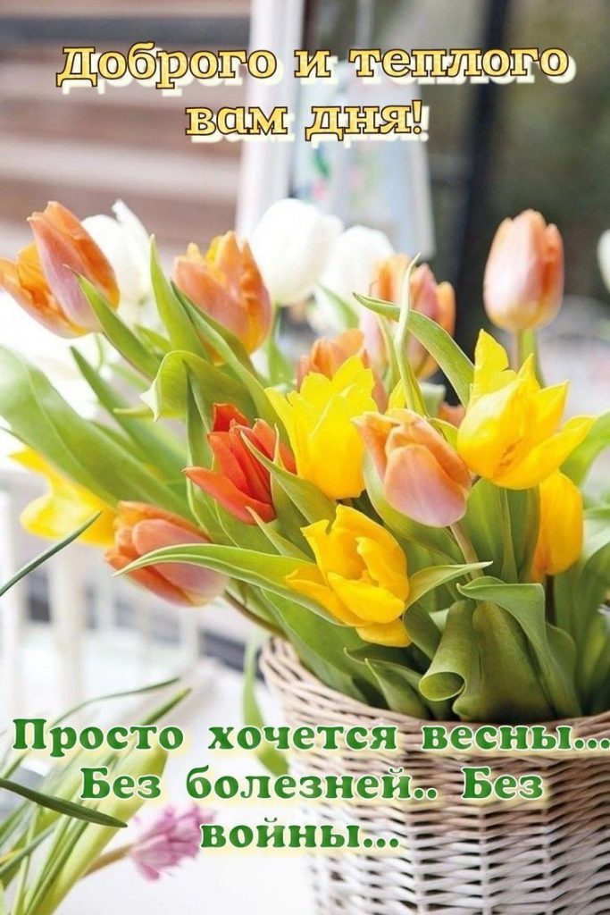 Весна - желаю вам теплого и хорошего дня (2)