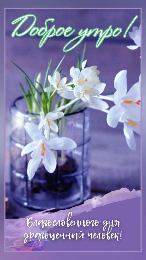 Доброе утро! Здравствуй, Весна! - красивые открытки (1)