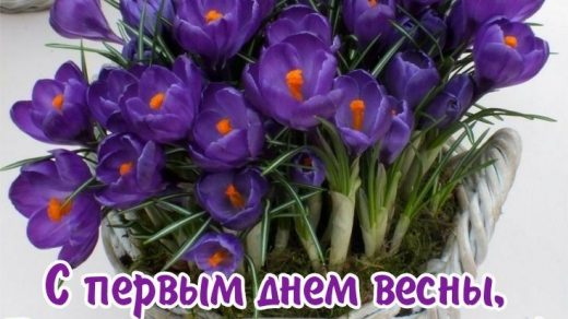 Желаю вам отличного начала дня весны в марте в картинках (2)