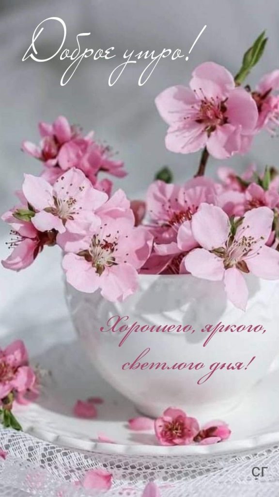 Желаю от души вам мира и счастья - открытки на утро весны (14)