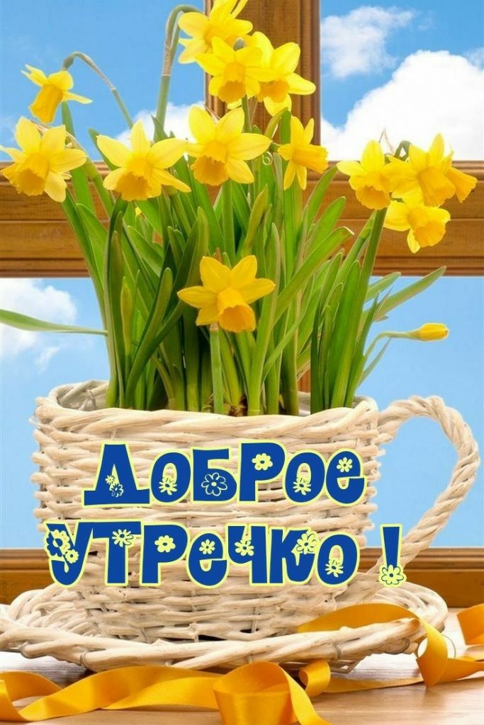 Картинки Доброго утра и хорошего дня! на весну и март (22)