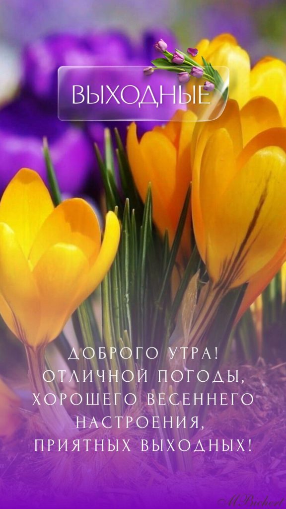 Март воскресенья - милые открытки на утро весны (2)