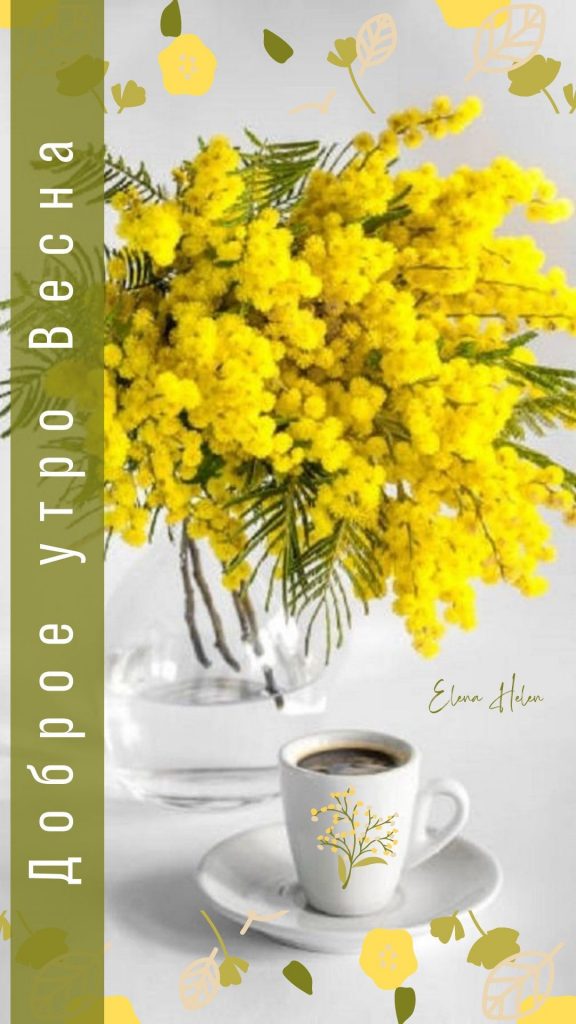 Март воскресенья - милые открытки на утро весны (3)