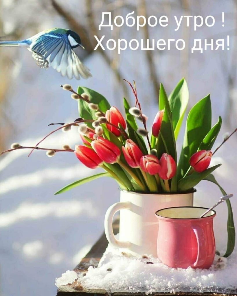Март и весна - открытки с добрым весенним утром (9)
