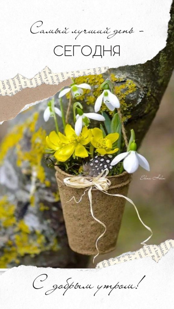 Милые картинки доброе утро желтые тюльпаны на весну и март (14)