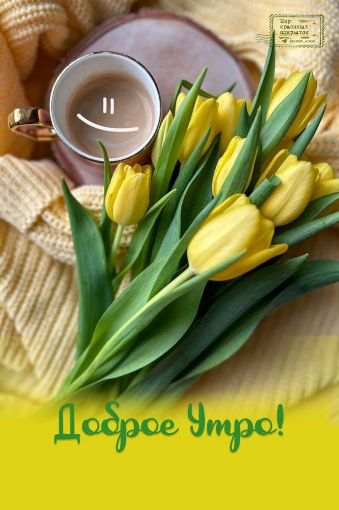 Милые картинки доброе утро желтые тюльпаны на весну и март (2)