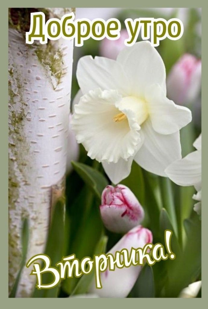 Новейшие открытки чудесные на утро весны (16)