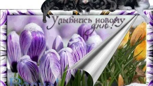 Привет апрель   картинки на русскомм (6)