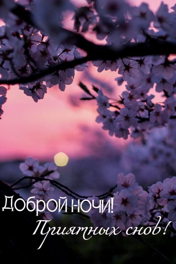 Спокойные и красивые картинки на вечер весны с пожеланиями (9)