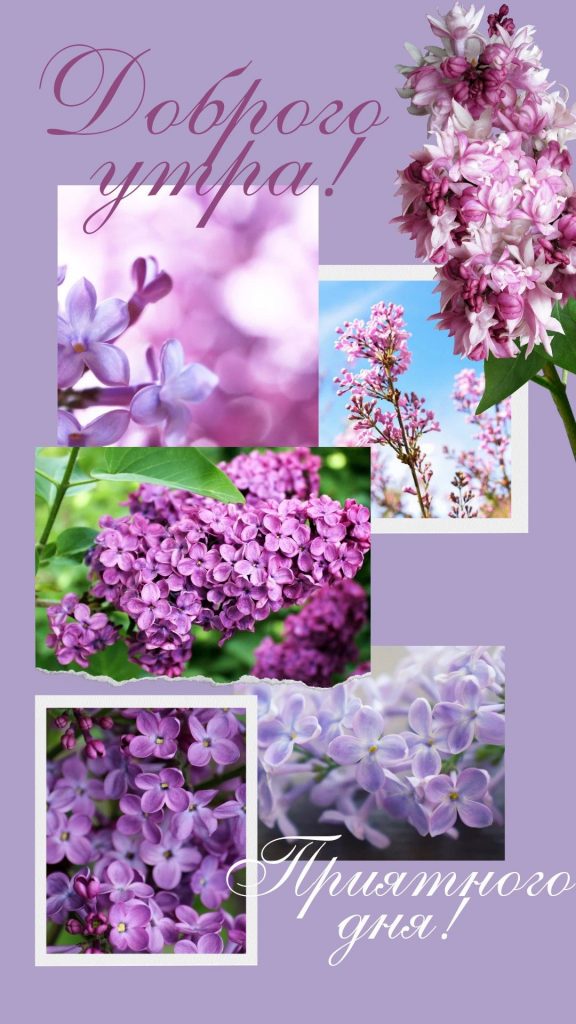 Теплые картинки с цветами на утро весны и марта (17)