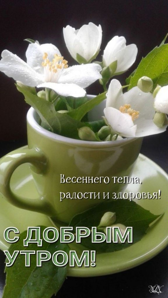 Уютные открытки на утро весны с чашкой кофе или чая (5)