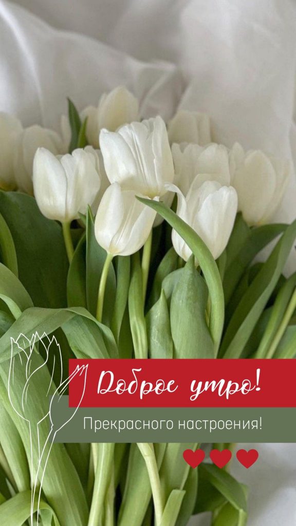 Шикарные тюльпаны с добрыми пожеланиями на утро весны (17)