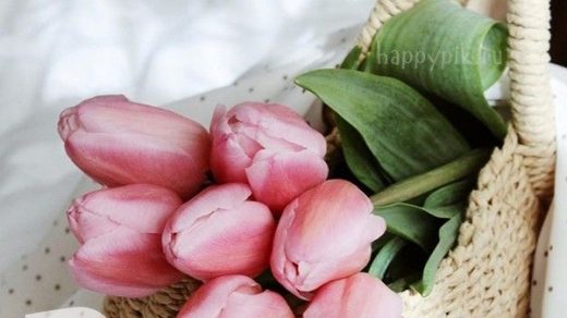 Шикарные тюльпаны с добрыми пожеланиями на утро весны (2)