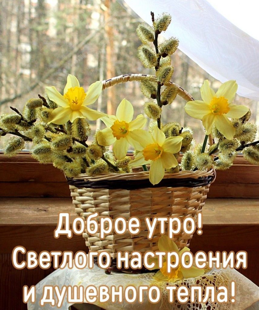 Весна и апрель - милые мирные открытки на утро (12)