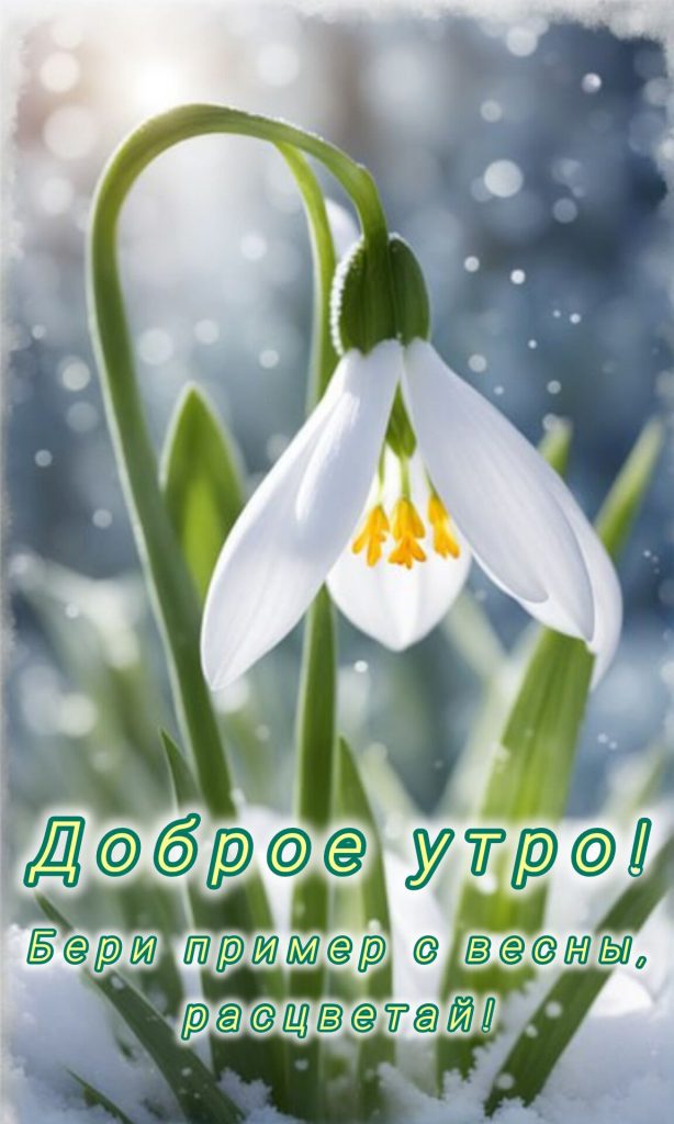 Весна и апрель - милые мирные открытки на утро (15)