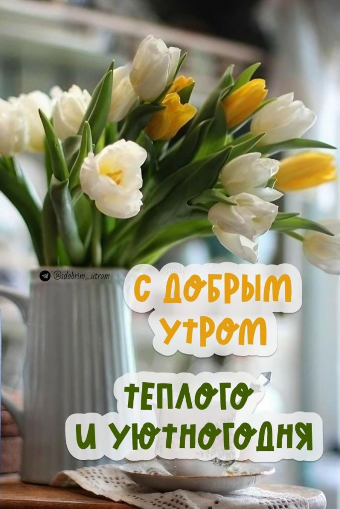 Замечательные открытки для жены доброе утро весна (9)