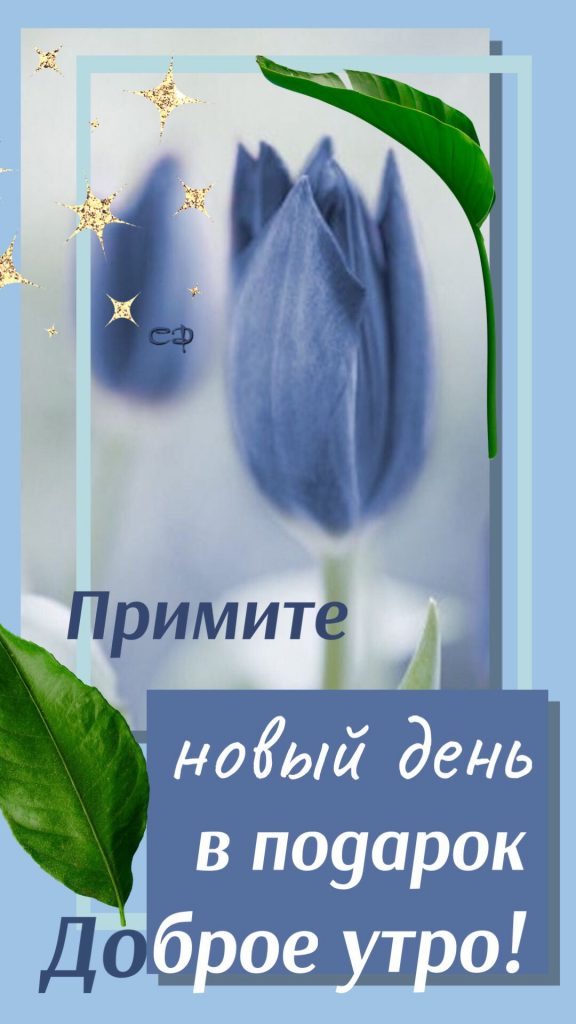 Утро - красивые и теплые мирные открытки Доброе утро весна 2024 (18)